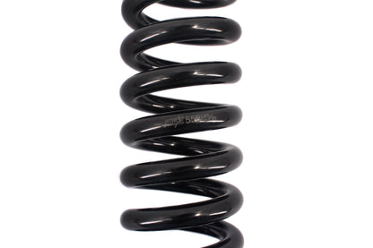KKE 550LBS Rear Suspension Spring