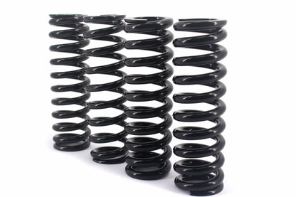 KKE 550LBS Rear Suspension Spring